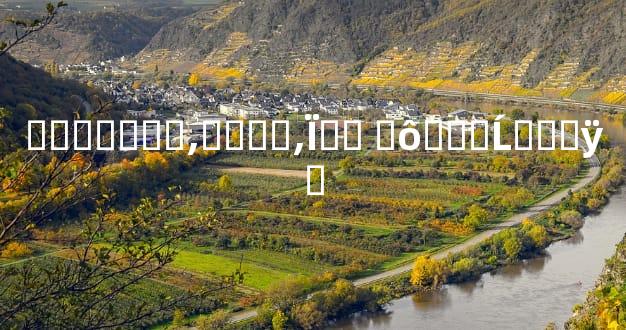 ɶ������,����,Ϊ�� ʲô���Ĺ���ÿ�